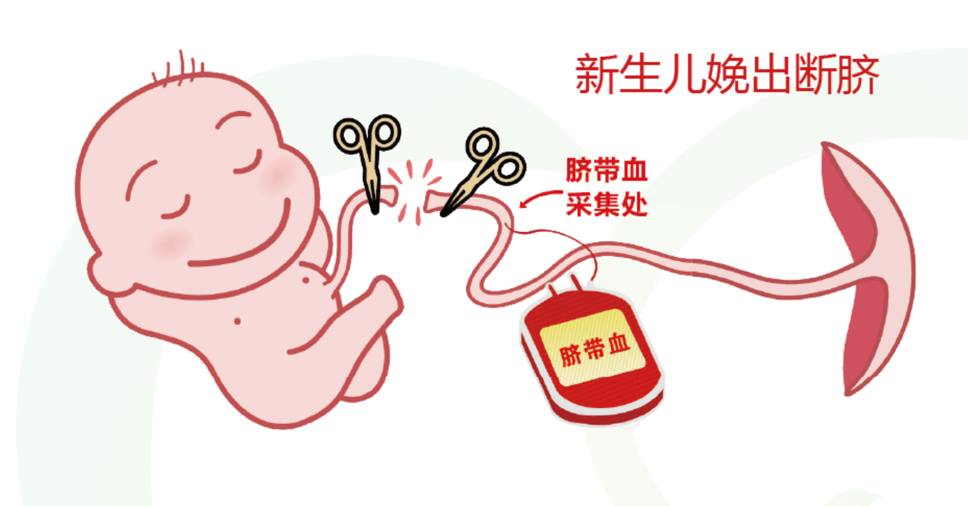 微信图片_20260312151003_950_1.png